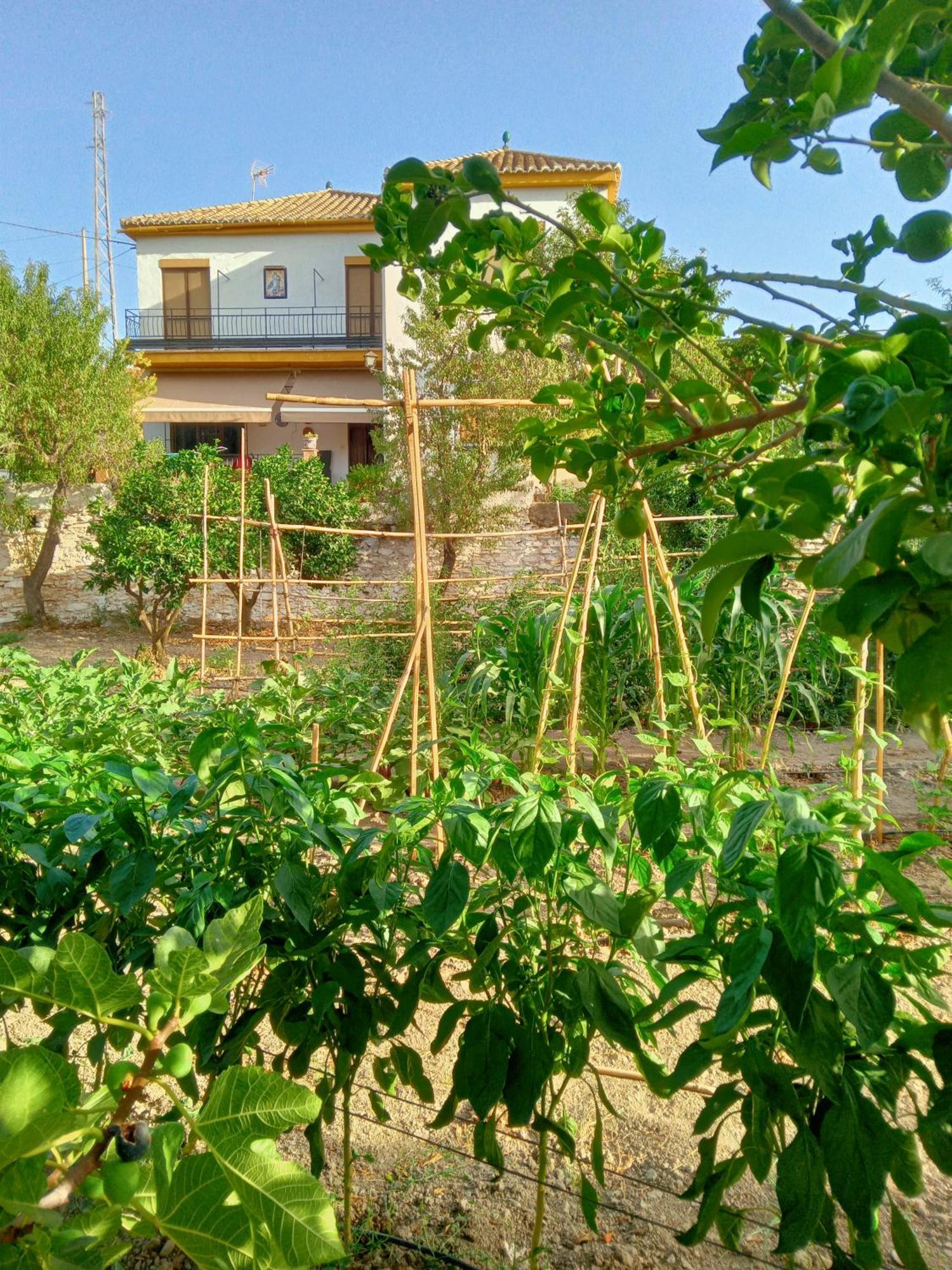 Tuguest Hortichuela House Villa Ugijar ภายนอก รูปภาพ