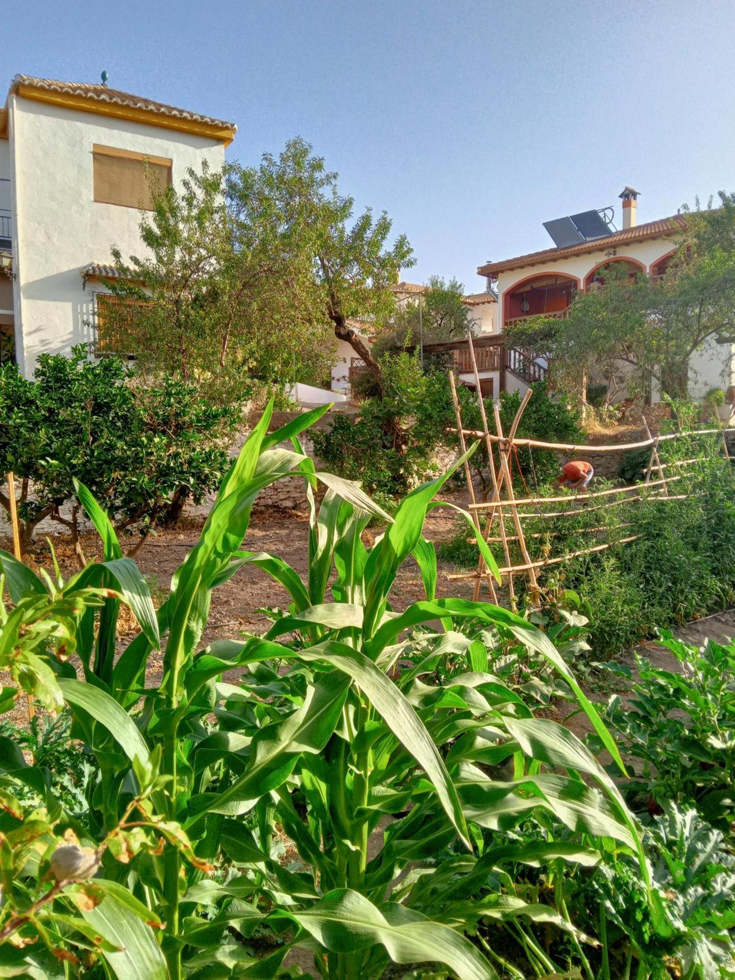 Tuguest Hortichuela House Villa Ugijar ภายนอก รูปภาพ